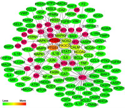 Yin-Chen-Hao Tang Attenuates Severe Acute Pancreatitis in Rat: An Experimental Verification of In silico Network Target Prediction